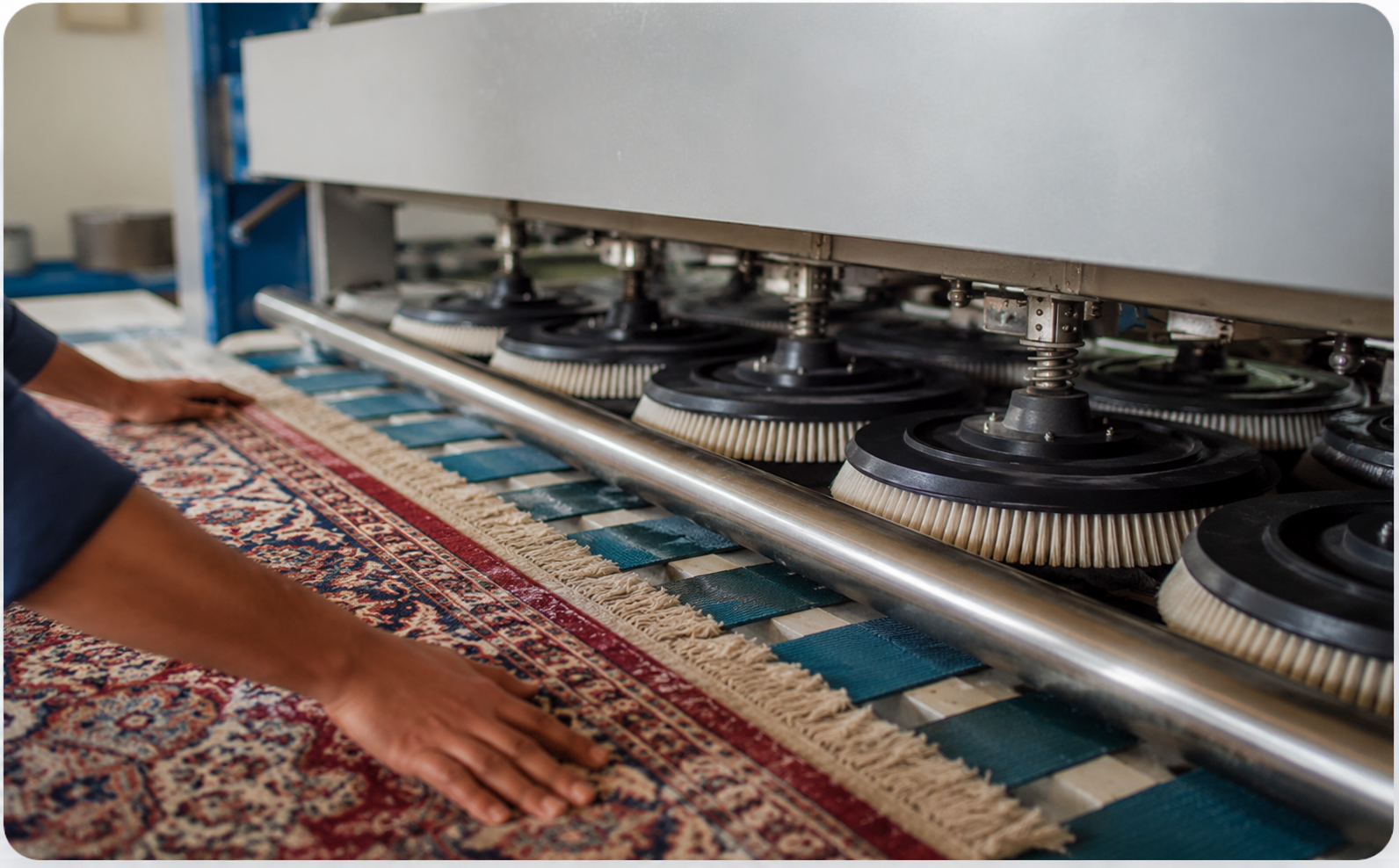 Carpet Cleaning